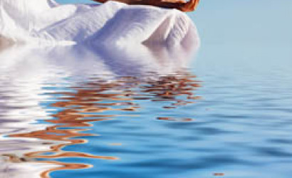 Fe3c9cc0f3cd81e5467f6a818dcbb28f W410 H250 Cp